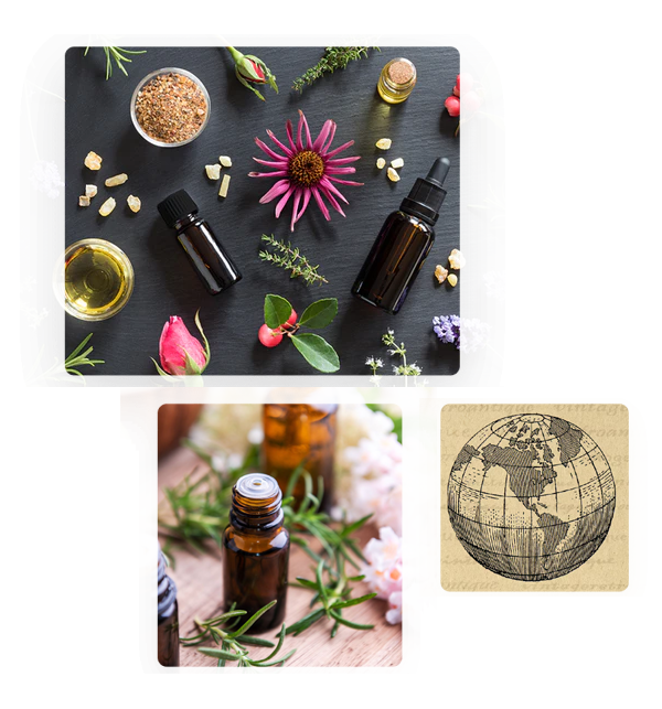 exporter of natural essential oils