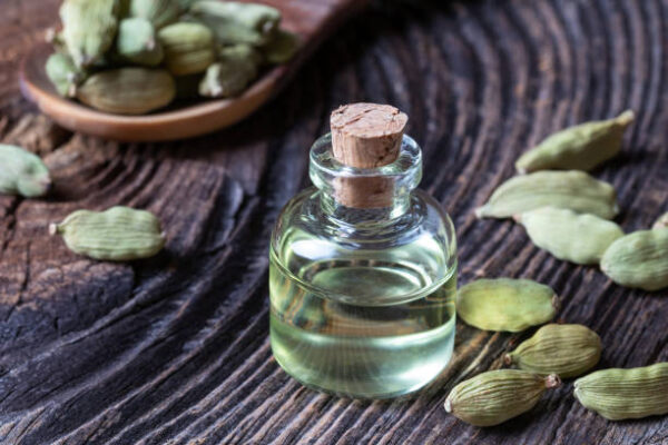 Unveiling the Aromatic Wonders of Cardamom Essential Oil